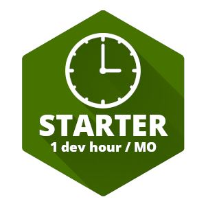 WordPress Website Maintenance Services Starter Package Icon