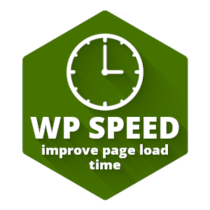 WordPress Speed Optimization